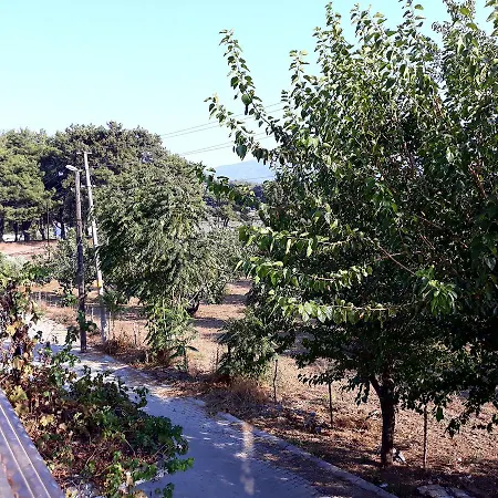 Efes Отель типа 
